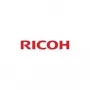 Ricoh 842044 originalus geltonas toneris