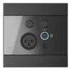 AUDAC WP225/B sieninis skydelis, XLR mikrofonui + 3,5 mm lizdas, Bluetooth, juodas