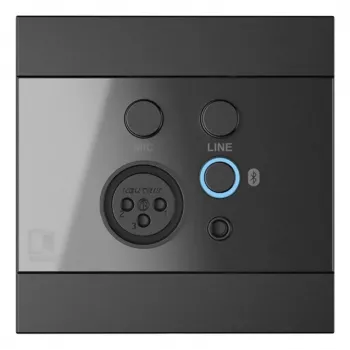AUDAC WP225/B sieninis skydelis, XLR mikrofonui + 3,5 mm lizdas, Bluetooth, juodas