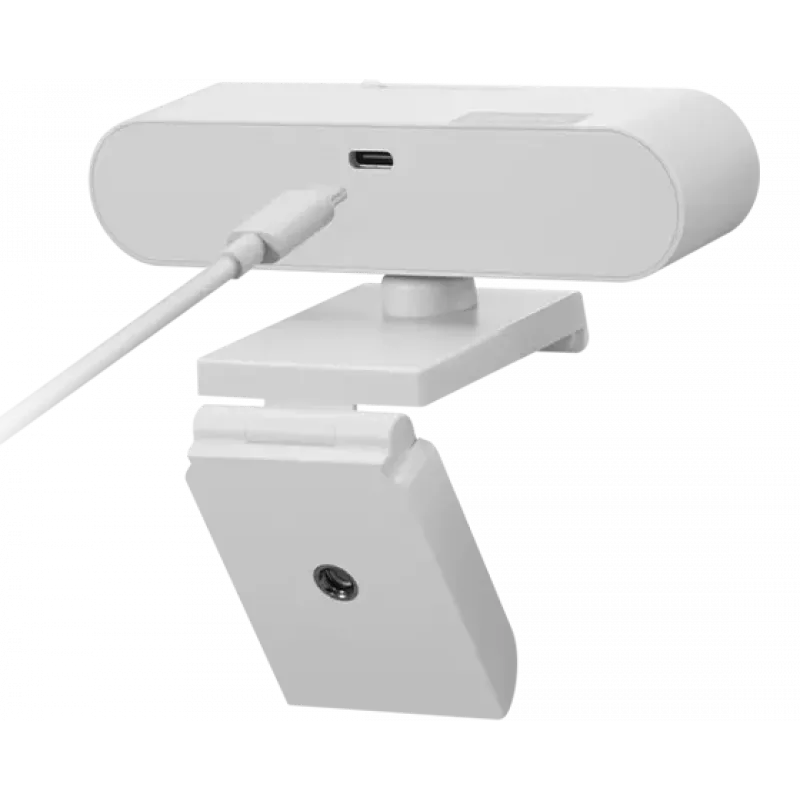Lenovo GXC1D66063 internetinė kamera 2,8 MP 1920 x 1080 pikselių USB-C Pilka