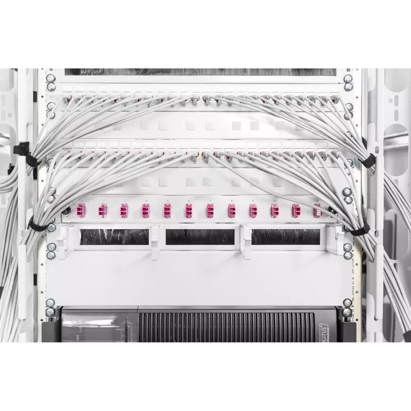 Užpildo panelis Digitus DN-19 BPN-02