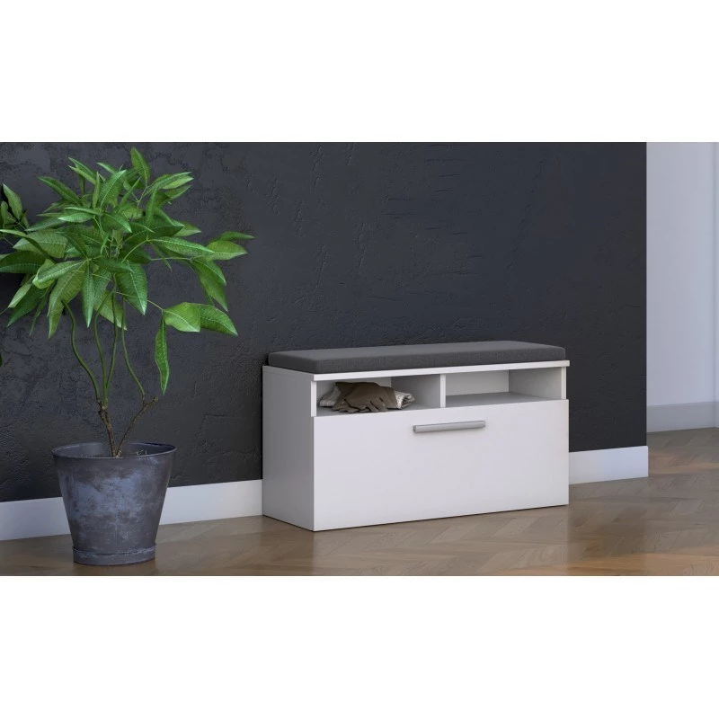 Spintelė batams uždara ant viršaus e shop RIVA SZAFKA BIEL – balta, medžio drožlių plokštė, 850×460 mm