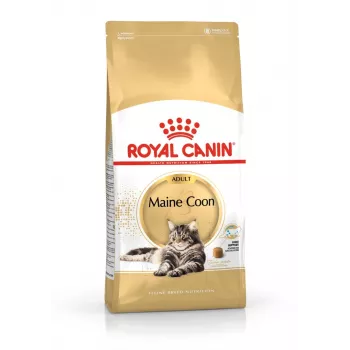 Sausas kačių ėdalas Royal Canin Maine Coon Adult 4 kg – vištiena