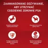 PURINA ONE MINI Šuo Suaugęs Jautiena su Ryžiais 1,5 kg