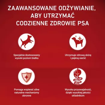 PURINA ONE MINI Šuo Suaugęs Jautiena su Ryžiais 1,5 kg