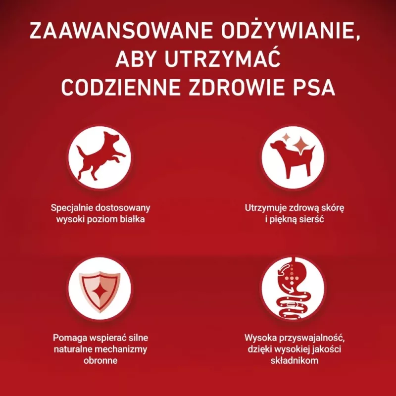 PURINA ONE MINI Šuo Suaugęs Jautiena su Ryžiais 1,5 kg