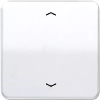 Jung CD 590 P WW (CD590PWW) – belaidis jungiklis