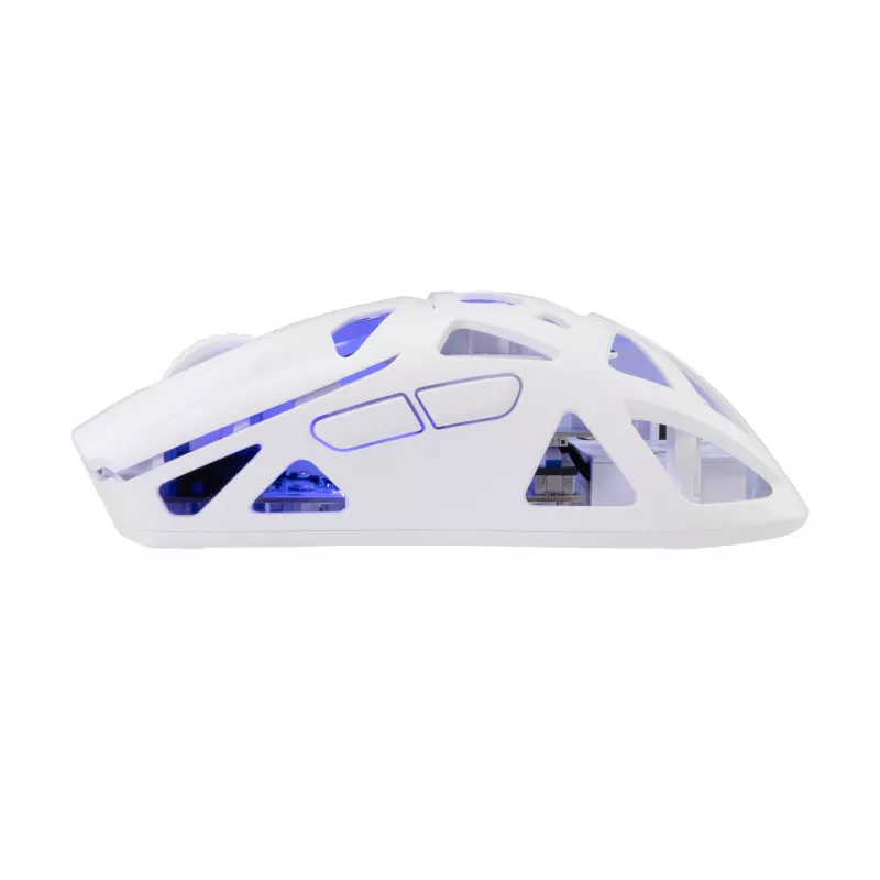 Pelė White Shark GM-5019 Dagonet belaidė