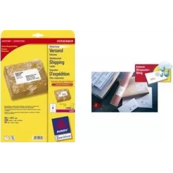 Oro sąlygoms atsparios siuntų etiketės Avery L7993-25