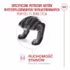 Sausas kačių ėdalas Royal Canin FHN Ageing Sterilised 11+ paukštiena 4 kg