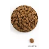 ACANA Adult Large Breed sausas šunų maistas - 11,4 kg