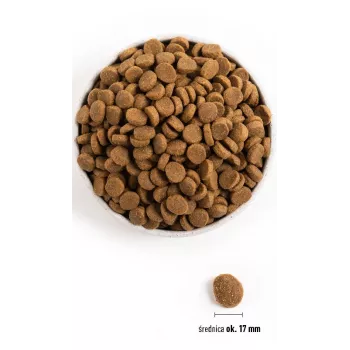 ACANA Adult Large Breed sausas šunų maistas - 11,4 kg