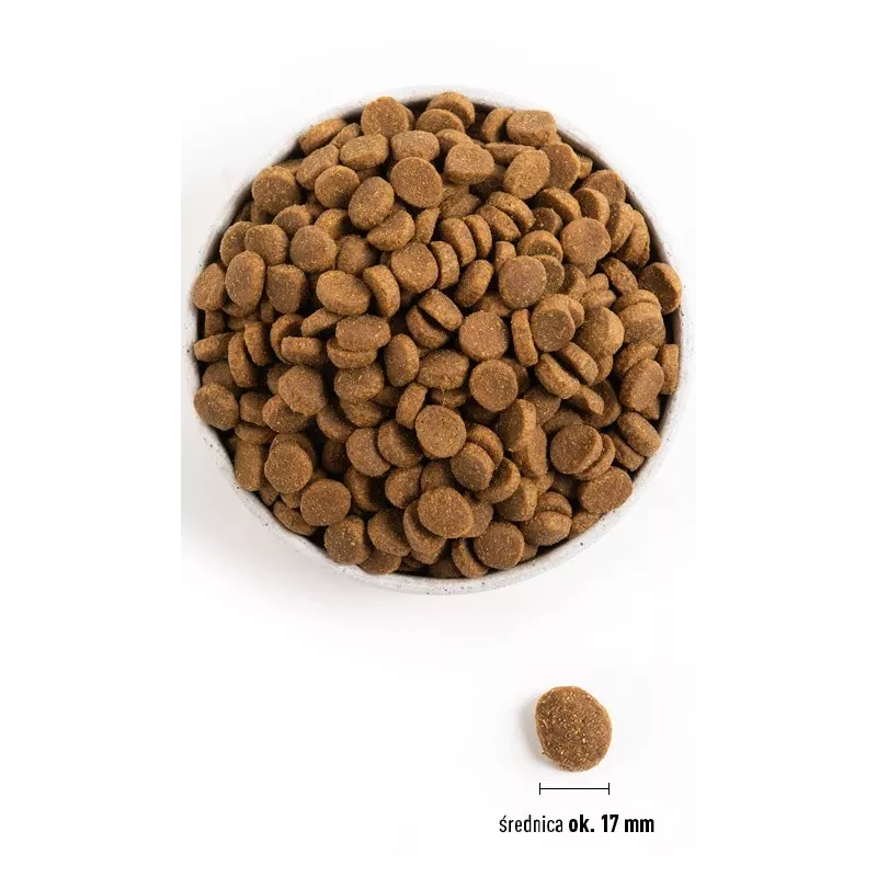 ACANA Adult Large Breed sausas šunų maistas - 11,4 kg