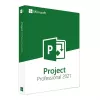 Microsoft Project Professional 2021 raktas