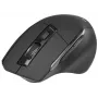 Pelė Tracer Cozy RF 2.4 GHz belaidė optinė dešinei rankai 1600 DPI