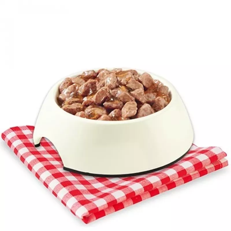 STUZZY Jūros žuvys drebučiuose – šlapi šunų ėdalas – 100g