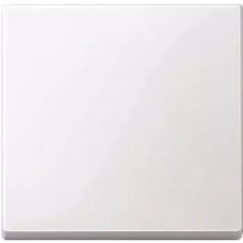 Sieninė rozetė / jungiklio dangtelis Merten 432125, balta, termoplastikas