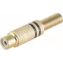 RCA jungtis ShiverPeaks BS52021-S Gold Moteriška