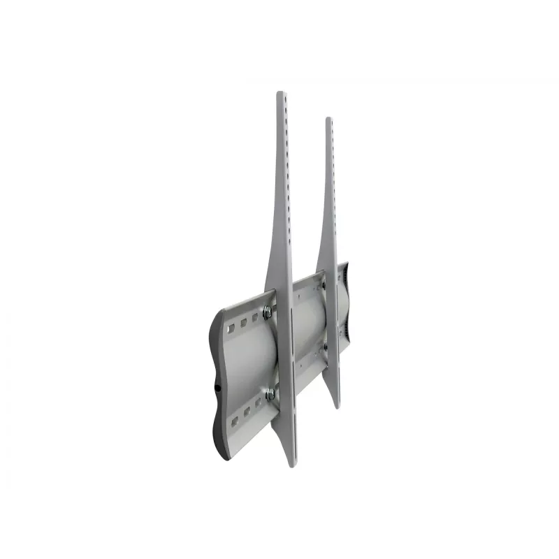 Ergotron 60-604-003 Sidabrinis