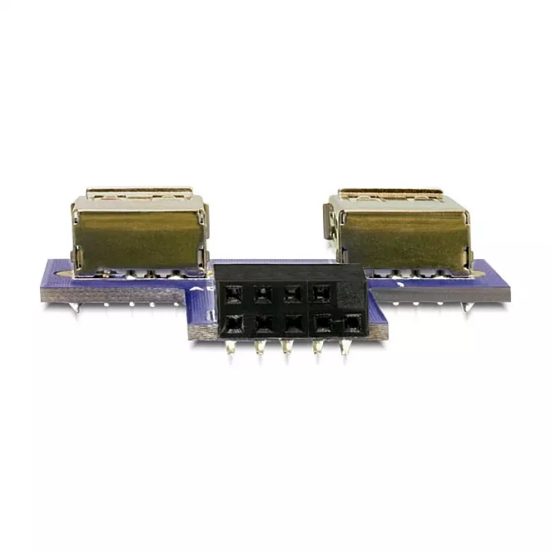 DeLOCK adapteris 9-pin 2.54 mm į 2 x USB 2.0 A, juoda/mėlyna/sidabrinė
