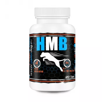 GAME DOG HMB papildai šunims – 120 tablečių