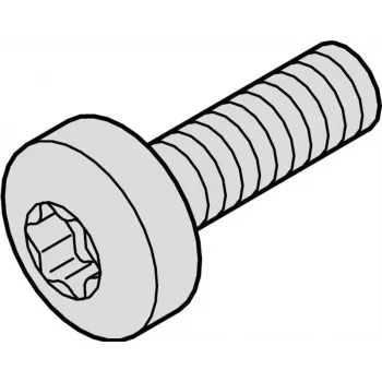 SCHROFF SCREW TORX COL.M2.5X12.3 100X – Rack-Accessory (21101783)