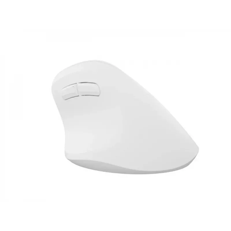 NATEC Crake 2 pelė Universal RF belaidė + Bluetooth optinė 2400 DPI