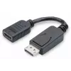 Digitus DisplayPort adapteris / keitiklis