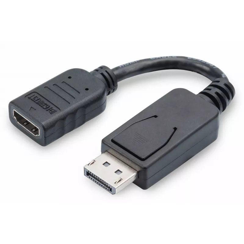 Digitus DisplayPort adapteris / keitiklis