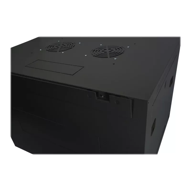 DIGITUS Dynamic Basic DN-19 16-U-EC-SW - tinklo spinta - skirta montavimui ant sienos - RAL 9005 - 16U - 48,3 cm (19 inch)