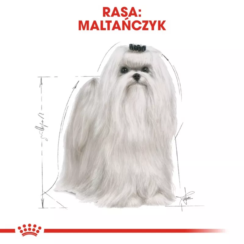 Sausas šunų ėdalas Royal Canin Maltese Adult 1,5 kg — vištiena, 24% baltymų, 18% riebalų