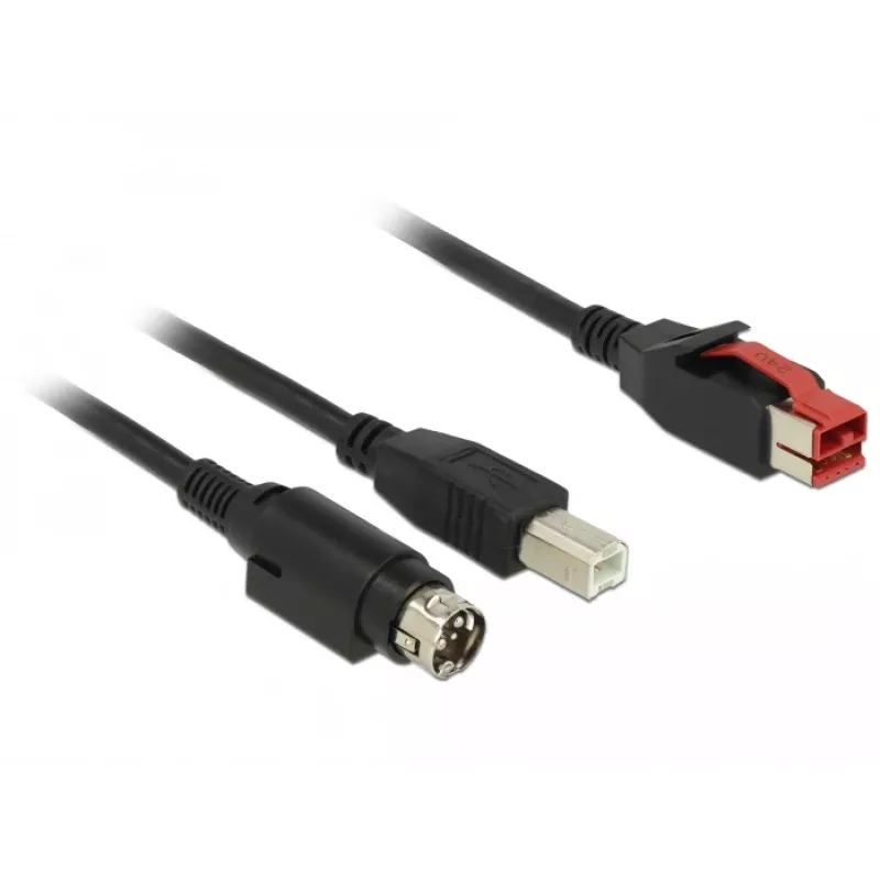 USB kabelis DeLOCK 85489 USB 2.0 3m USB B juodas