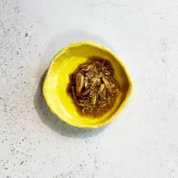 Ollo Tunas su jūros dumbliais sultinyje Nr. 8 70g