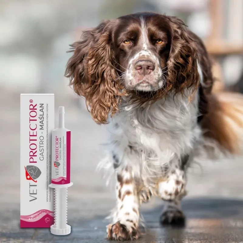JM Sante VET PROTECTOR Gastro Butyrate 60 ml skystas maisto papildas šunims ir katėms, be sojos, be glitimo