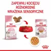Šlapias kačiukų ėdalas Royal Canin Kitten Jelly 85 g – vištienos skonis, 85 g paketėlis, 12 vnt.