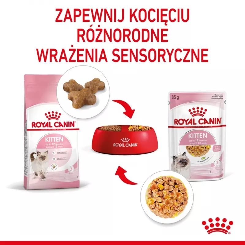Šlapias kačiukų ėdalas Royal Canin Kitten Jelly 85 g – vištienos skonis, 85 g paketėlis, 12 vnt.