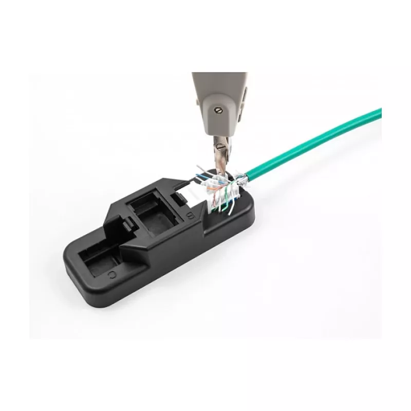 DeLOCK Keystone LSA rinkinys RJ45 RJ11 Cat.6 juodas užsegamas laikiklis