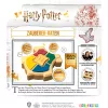 Harry Potter – Burtininkų Atspėjimo Žaidimas, Viktorinos Žaidimas