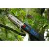 Bosch GKE 18V-25 TP belaidis genėjimo pjūklas su teleskopine rankena, pjovimo ilgis 25 cm, 18 V (06008D6000)