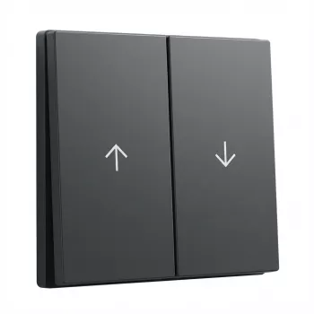 GIRA System 55 Wippe 2f Pfeil antracito svirtelės dangtelis (329428)