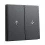 GIRA System 55 Wippe 2f Pfeil antracito svirtelės dangtelis (329428)