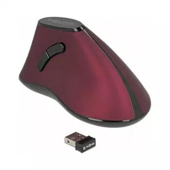 Pelė DeLOCK 12528 RF belaidė vertikali optinė 1000 DPI