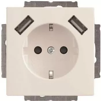 Busch-Jaeger SCHUKO kištukinis lizdas su 2x USB 20 EUCB2USB-84 (2CKA002011A6273)