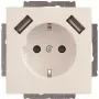 Busch-Jaeger SCHUKO kištukinis lizdas su 2x USB 20 EUCB2USB-84 (2CKA002011A6273)