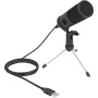 Delock mikrofonas USB juodas (66832)
