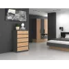 Komoda Topeshop M5 ANTRACYT/ARTISAN 5 stalčių, antracitinis ąžuolas, 700×1095×400 mm