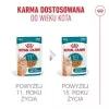 Šlapias kačių ėdalas Royal Canin FHN Ageing 11+ Gravy 12×85 g – visavertis ėdalas senjorams