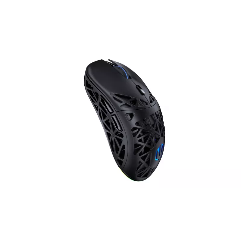 Belaidė pelė ENDORFY EY6A016 Bluetooth