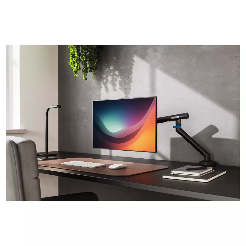 Monitoriaus laikiklis DIGITUS Single dizainas, iki 35 colių ekranams, spaustuvas, 10 kg, VESA 75x75–100x100, pakreipimas -45–90°