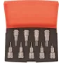 Bahco atsuktuvų antgaliai 9 vnt. S9TORX (S9TORX)